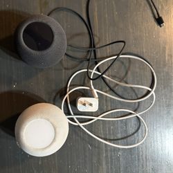 Two Mini Homepods