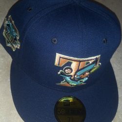 Toronto Blue Jays baseball team fitted hat