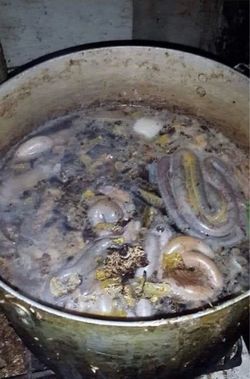 her soup.