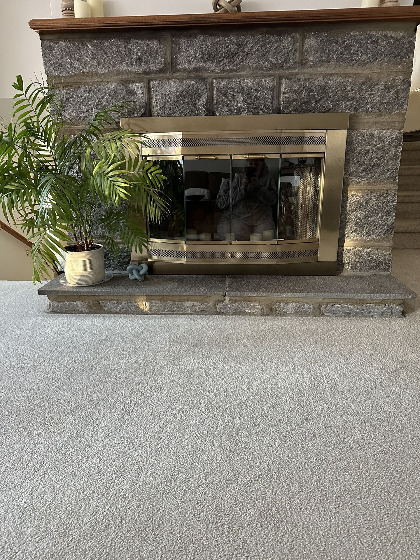 Fireplace Doors