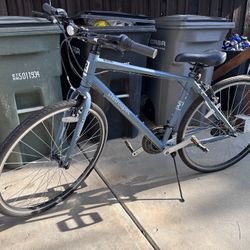 Adult Retrospec Bike