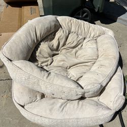FREE Dog Beds 2 Large 