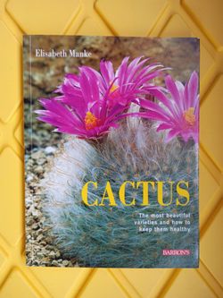 Cactus by Elisabeth Manke