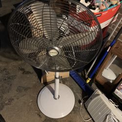Standing Oscillating fan