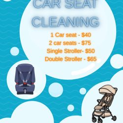 Car seat Cleaning 