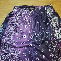 💯 PREMIUM ASYLUM CLOTHING SATIN MESH SHORTS IN PURPLE PAISLEY PATCH SIZE XL AND 2 XL. 