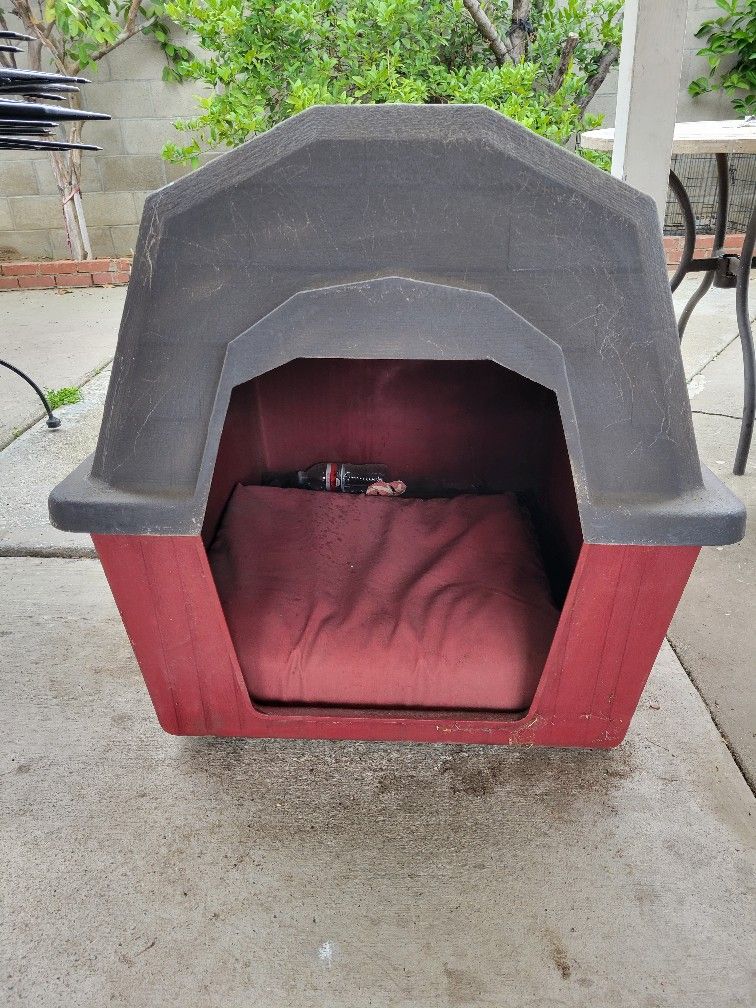 Dog House