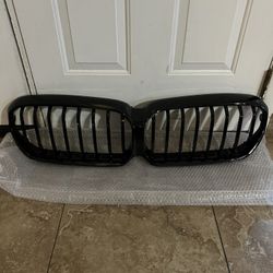 2021 to 2023 BMW 5 Series Grille (G30)