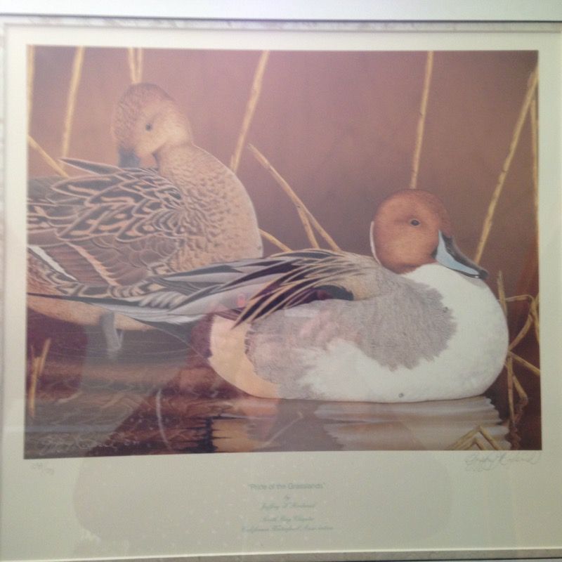 Artist Robert Steiner . Duck prints