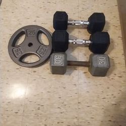 Dumbbells and weight plate 