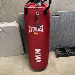 Everlasting Punching Bag