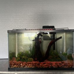 Fish Tank