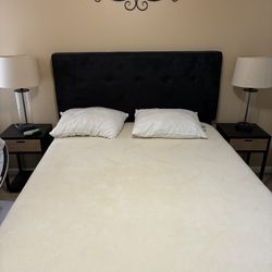 2004 Queen Tempurpedic Bed With Mattress And Headboard