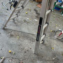 Murphy Ladder 