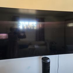 65in  Sony TV