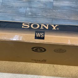 Sony WS-FV 10C