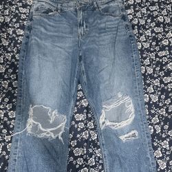 American Eagle Strigid Mom Jeans