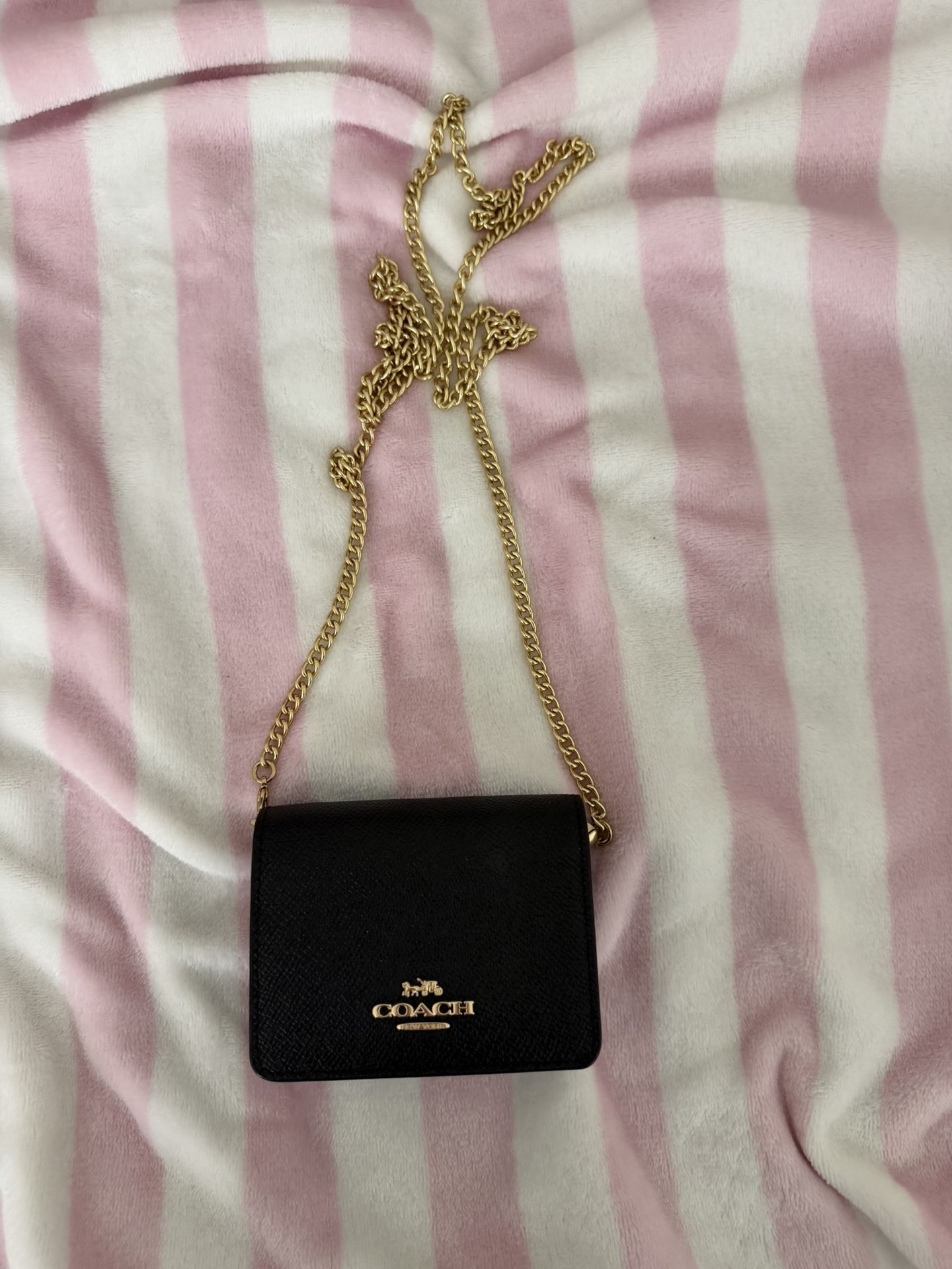 Coach Mini Bag