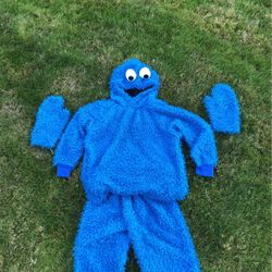 Cookie Monster Costume Homemade