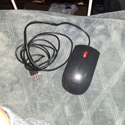 Computer Mouse 