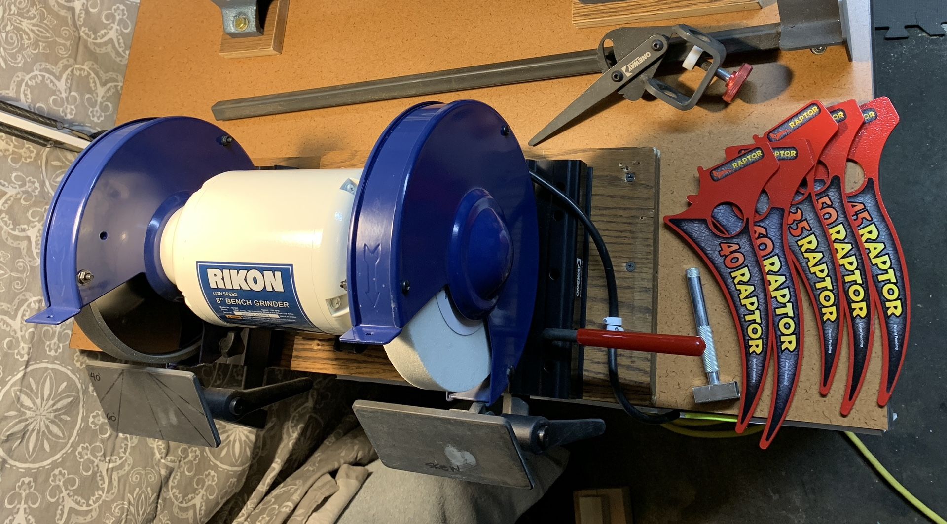 RIKON 8 inch low-speed bench grinder +acc.