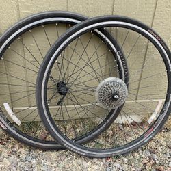 Bike Rims 