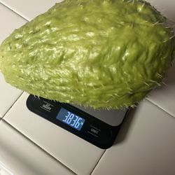 Big Chayotes Plants Plantas 