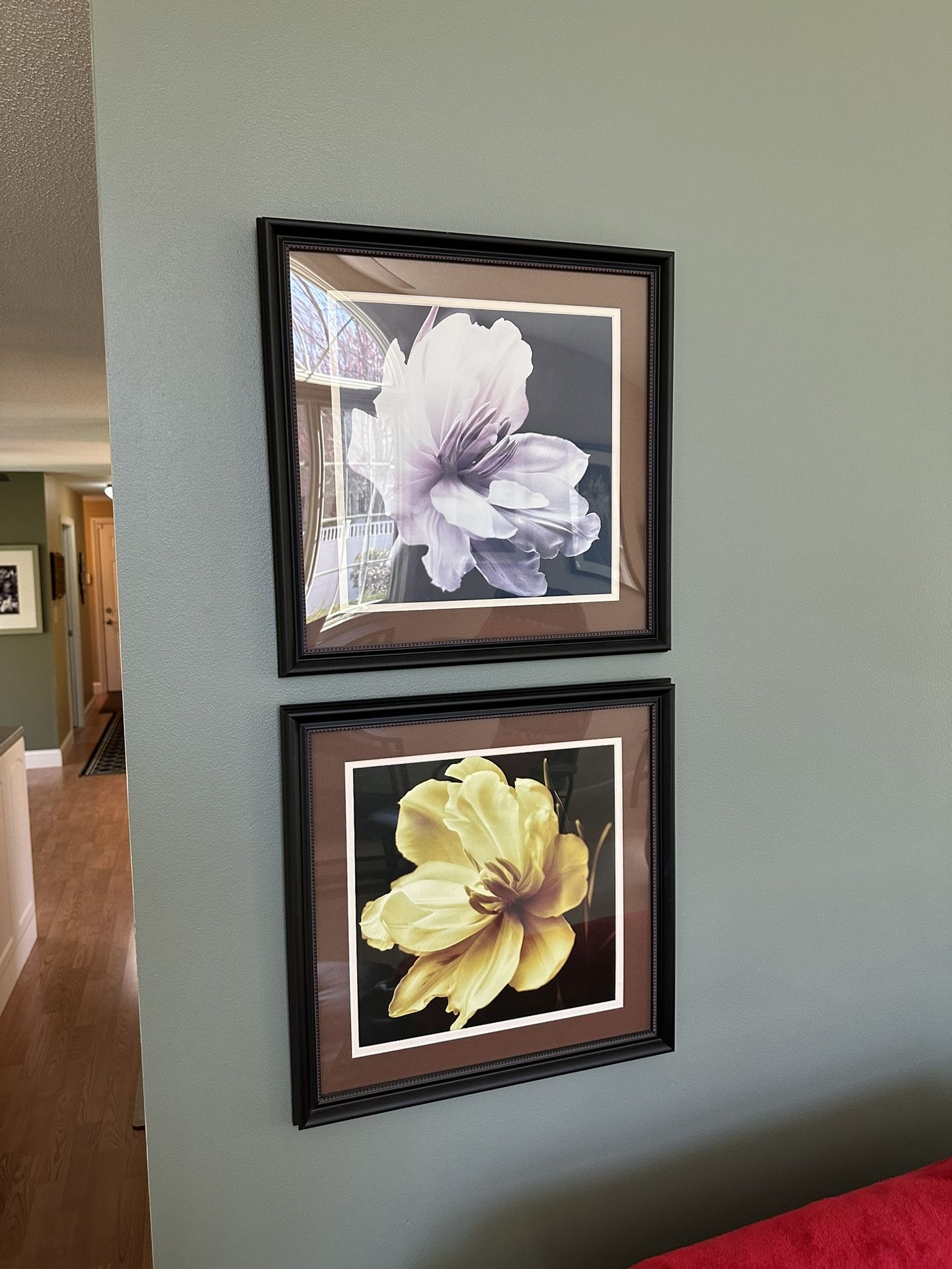 Framed Flower Art