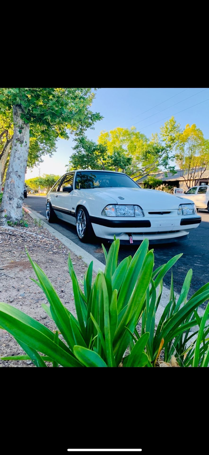 1988 Ford Mustang