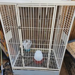 Bird Parraot Cage 