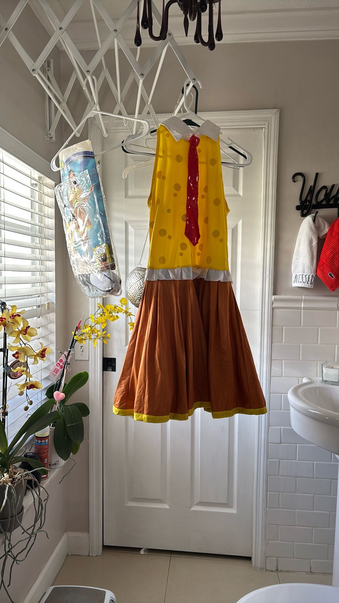 Sponge Bob Adult Custume