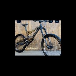 Specialized/ Mountain Bike 