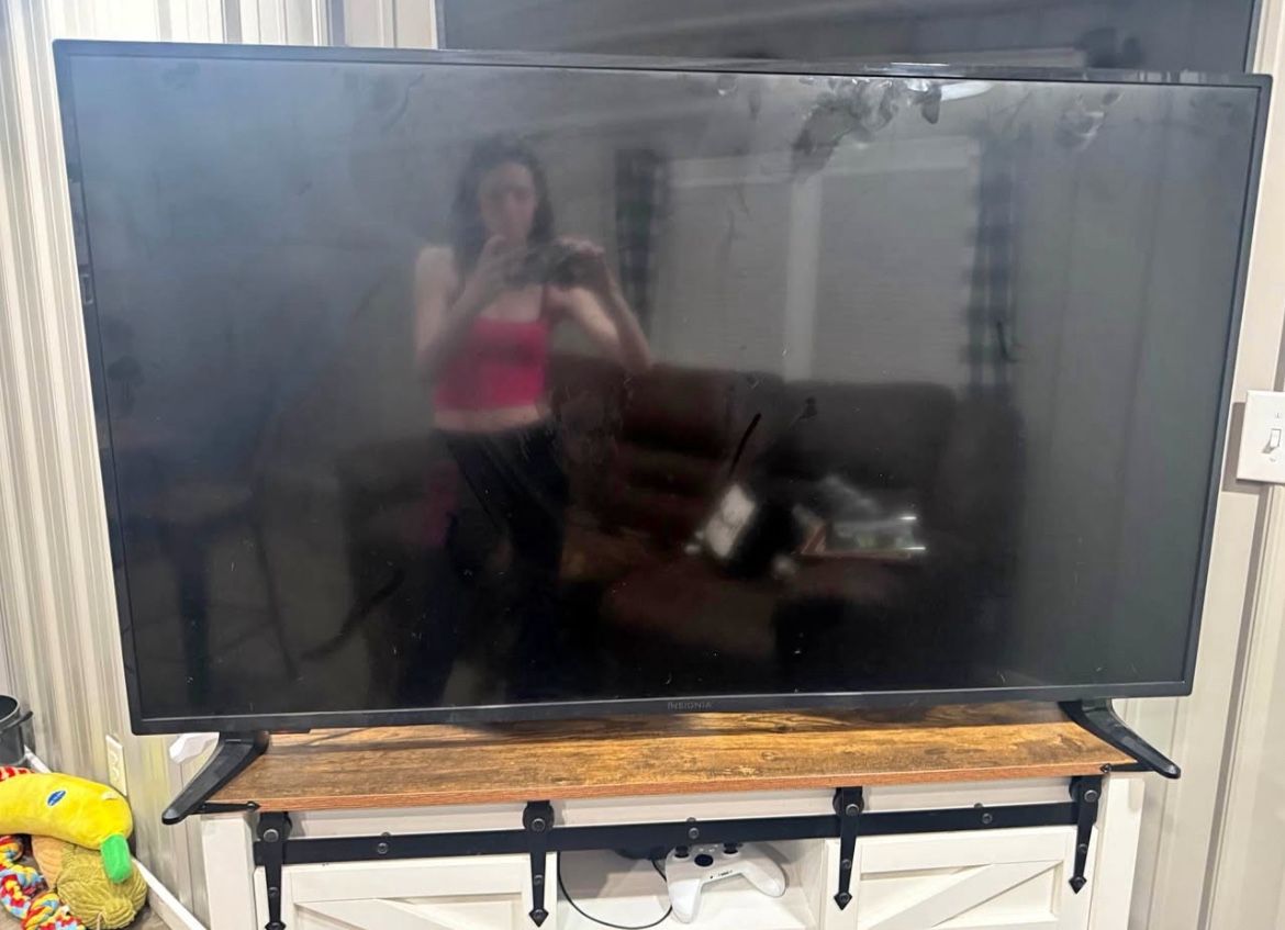 Insignia 55-inch class F30 series led 4k UHD Smart fire tv