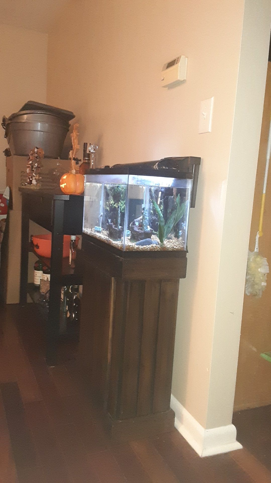 10 gallon fish tank with stand