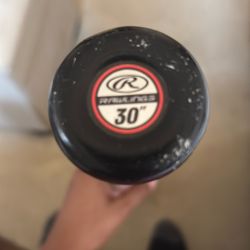 Rawlings Alloy Baseball Bat Red And Black 