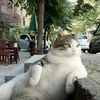 Lawrence