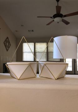 Project 62 plant holder