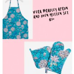 NWT: apron Set