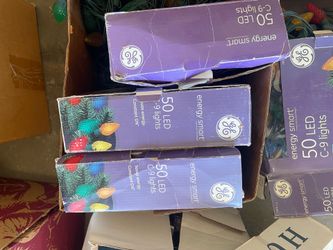 GE Energy Smart C-9 LED Lights and Holiday Living Net-Style Lights Bundle
