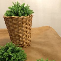 Plant Toppers 