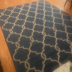 New Area rug 