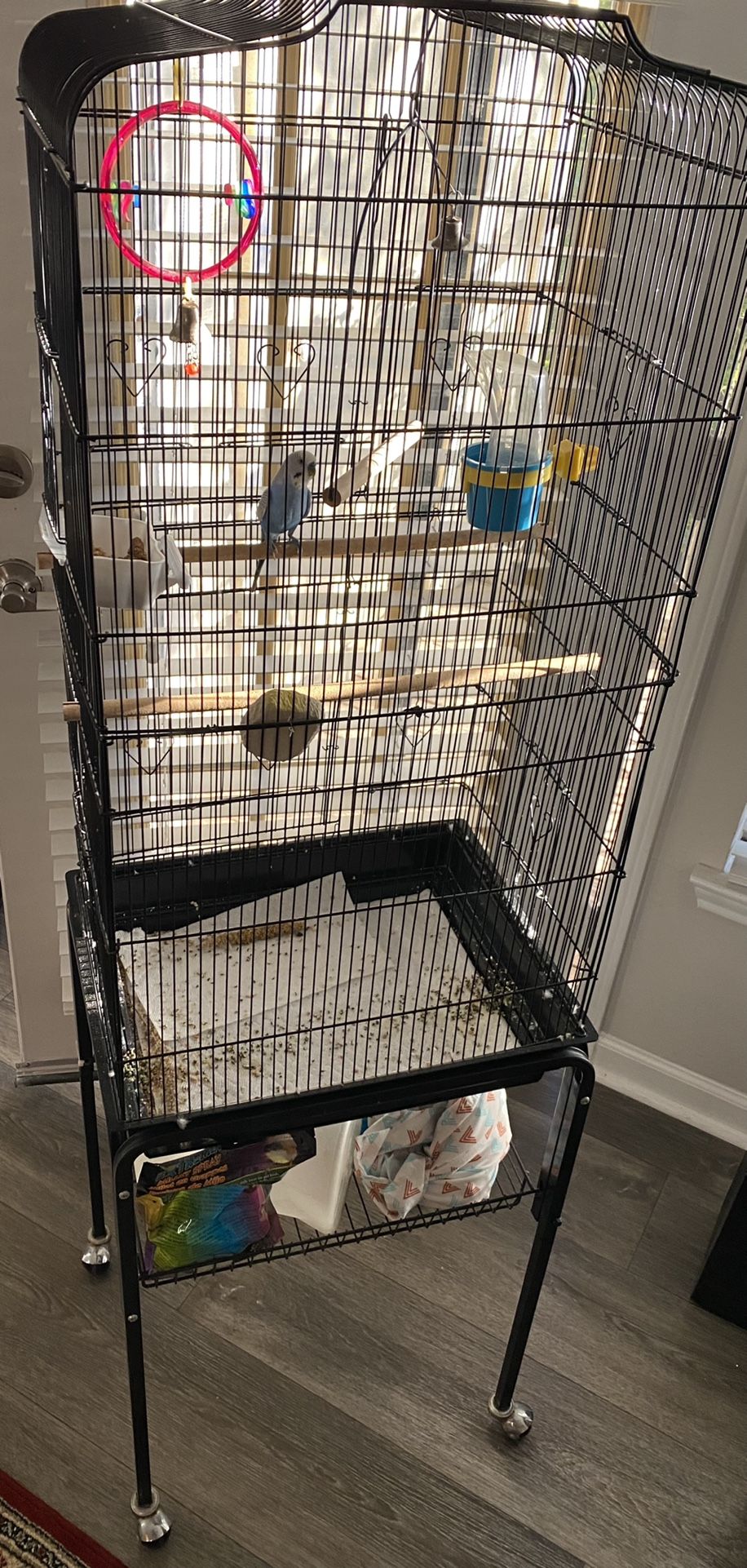 Parrot Cage