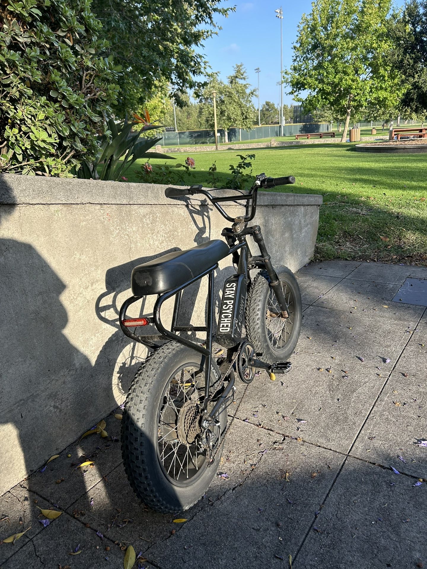 E Bike For 600 Top Speed 25