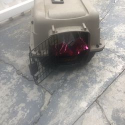 Dog/ Cat Carrier. Great Condition. Comes With An Open Bag Of Cat food 