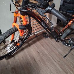 Tot Guard Electric Bike