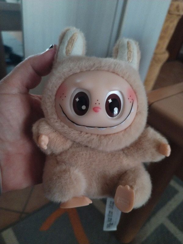 A very popular stuffed toy, Labubub!