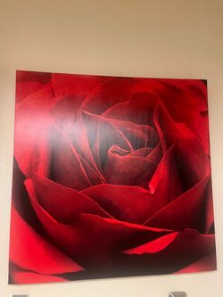 Rose Wall Art