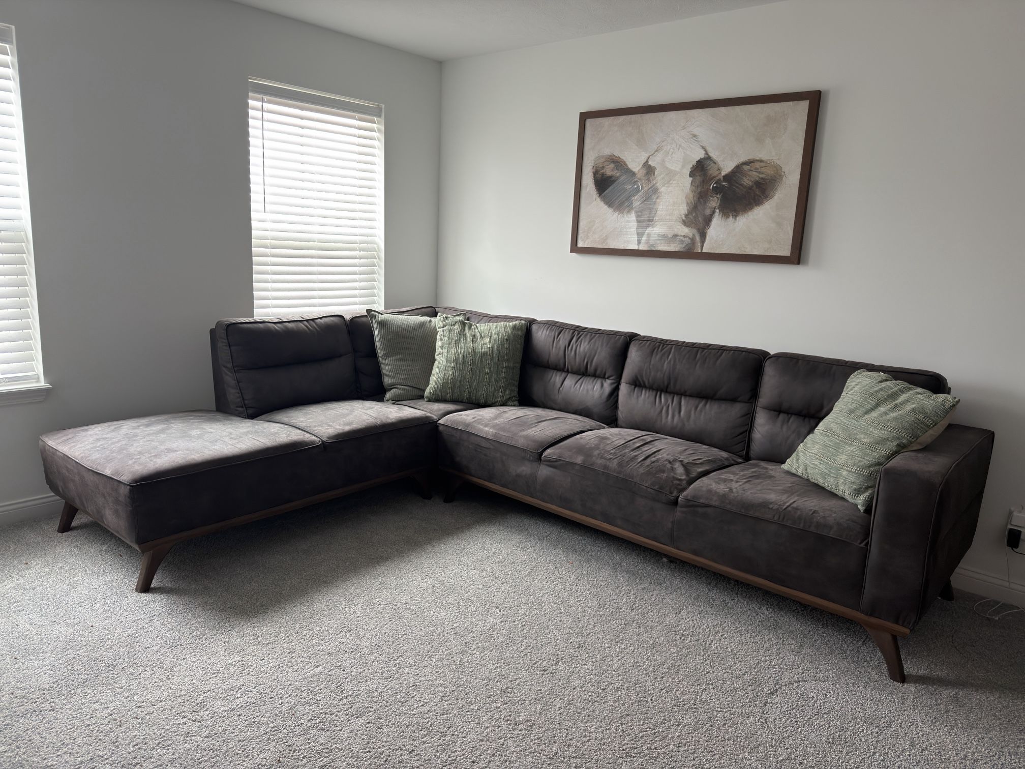 Sectional couch