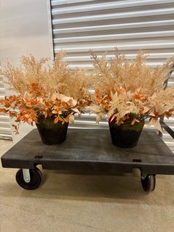 Fall Urn Fillers