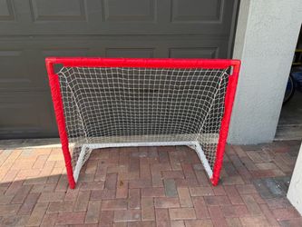 Street Hockey Goal & 3 Hockey Sticks – $45